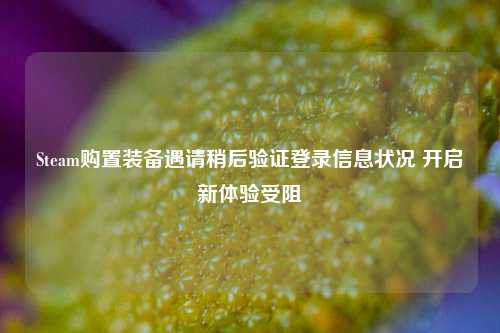 Steam购置装备遇请稍后验证登录信息状况 开启新体验受阻