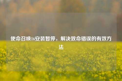 使命召唤16安装暂停，解决致命错误的有效方法