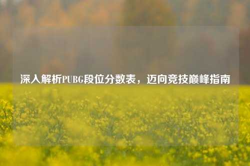 深入解析PUBG段位分数表,迈向竞技巅峰指南