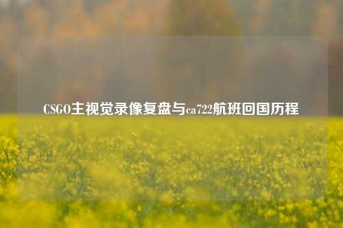 CSGO主视觉录像复盘与ca722航班回国历程