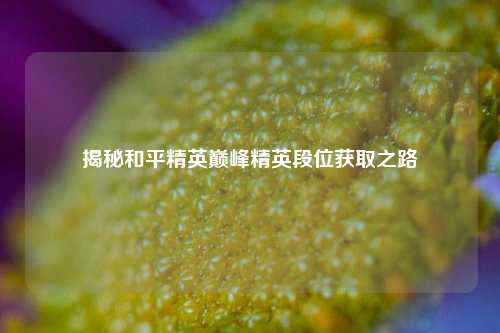 揭秘和平精英巅峰精英段位获取之路