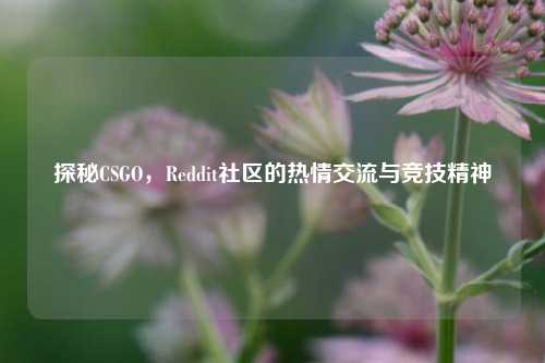 探秘CSGO,Reddit社区的热情交流与竞技精神