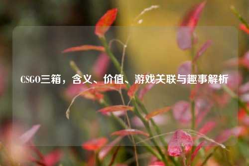 CSGO三箱，含义、价值、游戏关联与趣事解析