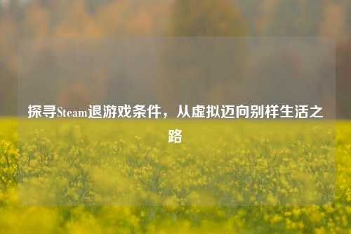 探寻Steam退游戏条件,从虚拟迈向别样生活之路
