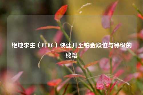 绝地求生（PUBG）快速升至铂金段位与等级的秘籍