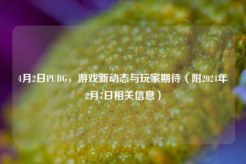 4月2日PUBG，游戏新动态与玩家期待（附2024年2月7日相关信息）