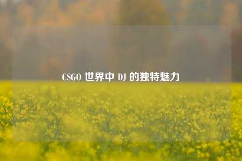 CSGO 世界中 DJ 的独特魅力
