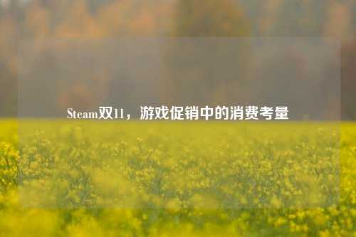 Steam双11,游戏促销中的消费考量