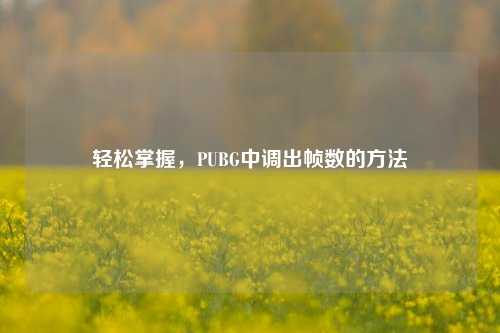 轻松掌握,PUBG中调出帧数的方法
