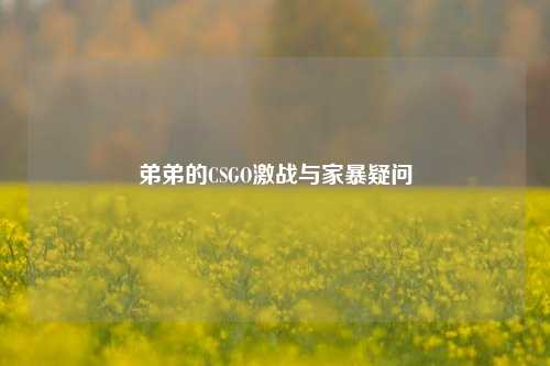 弟弟的CSGO激战与家暴疑问