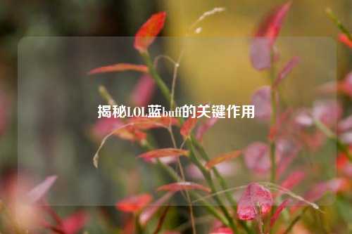 揭秘LOL蓝buff的关键作用