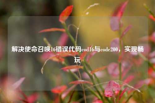 解决使命召唤16错误代码cod16与code200，实现畅玩