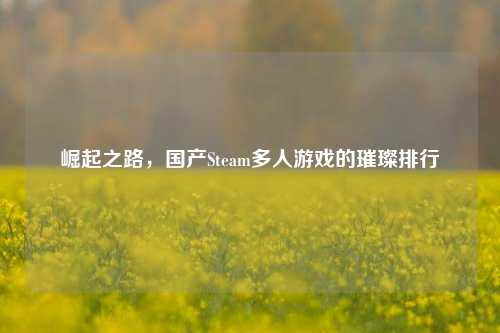 崛起之路,国产Steam多人游戏的璀璨排行