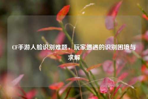 CF手游人脸识别难题，玩家遭遇的识别困境与求解