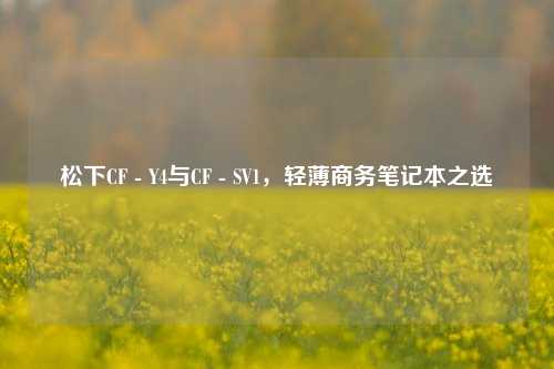 松下CF - Y4与CF - SV1,轻薄商务笔记本之选