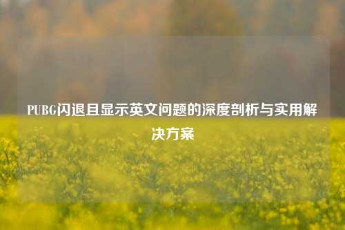 PUBG闪退且显示英文问题的深度剖析与实用解决方案