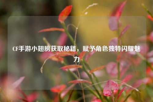 CF手游小翅膀获取秘籍,赋予角色独特闪耀魅力