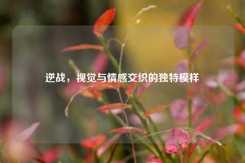 逆战,视觉与情感交织的独特模样