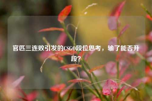 官匹三连败引发的CSGO段位思考，输了能否升段？
