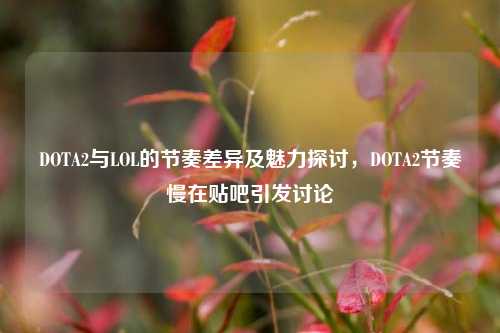 DOTA2与LOL的节奏差异及魅力探讨,DOTA2节奏慢在贴吧引发讨论