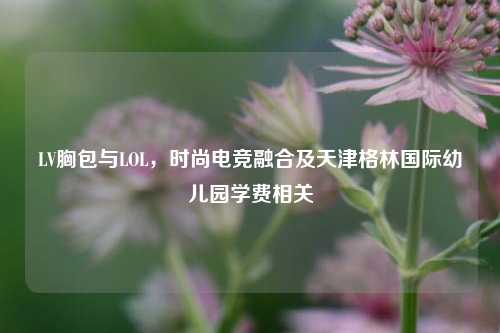 LV胸包与LOL，时尚电竞融合及天津格林国际幼儿园学费相关