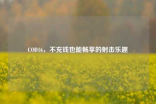 COD16，不充钱也能畅享的射击乐趣