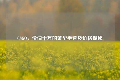 CSGO,价值十万的奢华手套及价格探秘