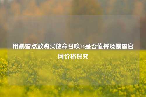 用暴雪点数购买使命召唤16是否值得及暴雪官网价格探究