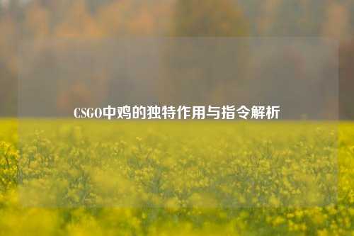 CSGO中鸡的独特作用与指令解析