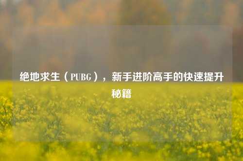 绝地求生（PUBG），新手进阶高手的快速提升秘籍