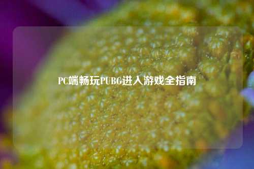 PC端畅玩PUBG进入游戏全指南