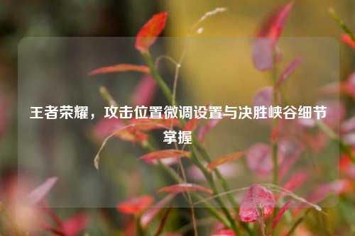 王者荣耀，攻击位置微调设置与决胜峡谷细节掌握