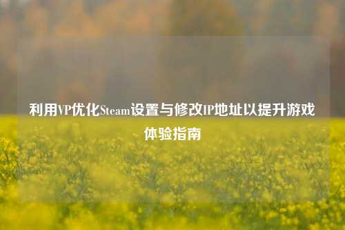 利用VP优化Steam设置与修改IP地址以提升游戏体验指南