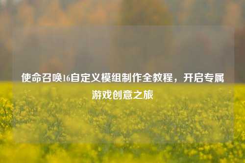 使命召唤16自定义模组制作全教程,开启专属游戏创意之旅