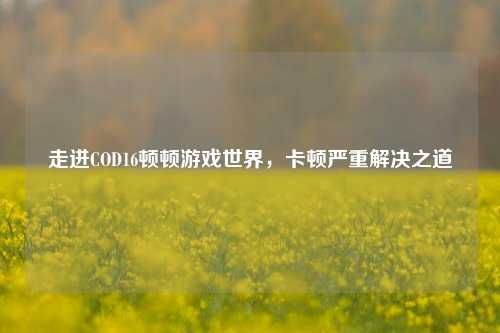 走进COD16顿顿游戏世界，卡顿严重解决之道