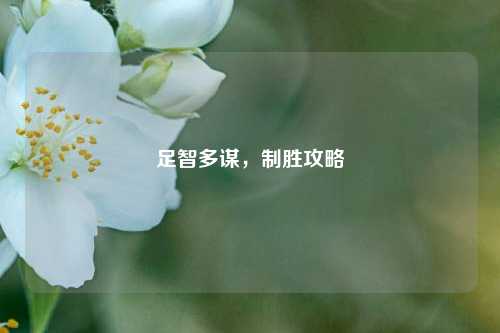足智多谋，制胜攻略