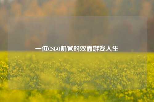 一位CSGO奶爸的双面游戏人生