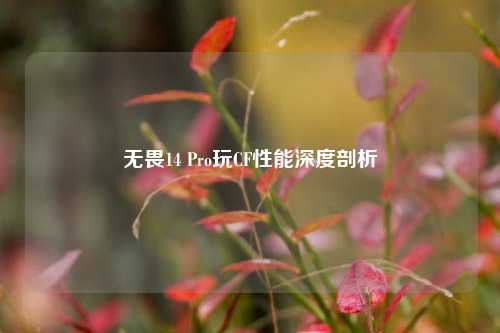无畏14 Pro玩CF性能深度剖析
