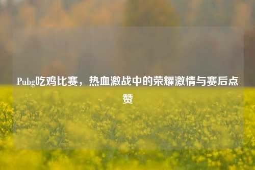 Pubg吃鸡比赛,热血激战中的荣耀激情与赛后点赞