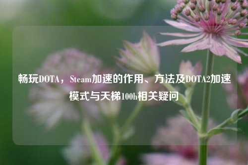 畅玩DOTA，Steam加速的作用、方法及DOTA2加速模式与天梯100h相关疑问