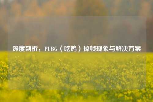 深度剖析,PUBG(吃鸡)掉帧现象与解决方案