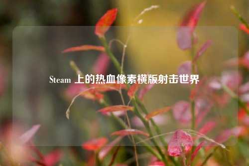 Steam 上的热血像素横版射击世界