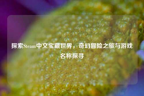 探索Steam中文宝藏世界，奇幻冒险之旅与游戏名称探寻