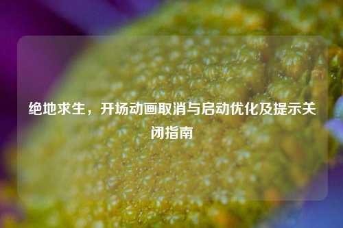 绝地求生,开场动画取消与启动优化及提示关闭指南