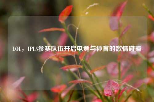 LOL,IPL5参赛队伍开启电竞与体育的激情碰撞