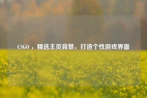 CSGO ,精选主页背景,打造个性游戏界面