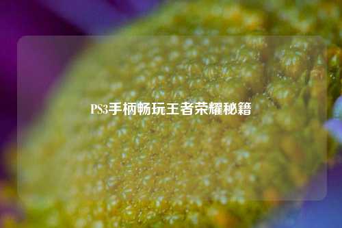 PS3手柄畅玩王者荣耀秘籍