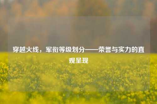 穿越火线,军衔等级划分——荣誉与实力的直观呈现