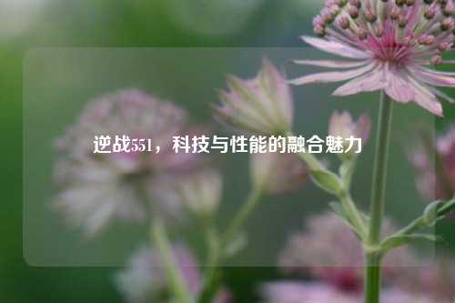 逆战551,科技与性能的融合魅力
