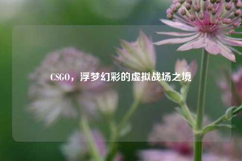 CSGO，浮梦幻彩的虚拟战场之境